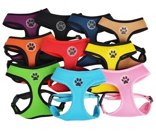 Dog Puppy Mesh Harness, Soft Breathable - Paw Design - 10 Colors - Xs, S, M, L