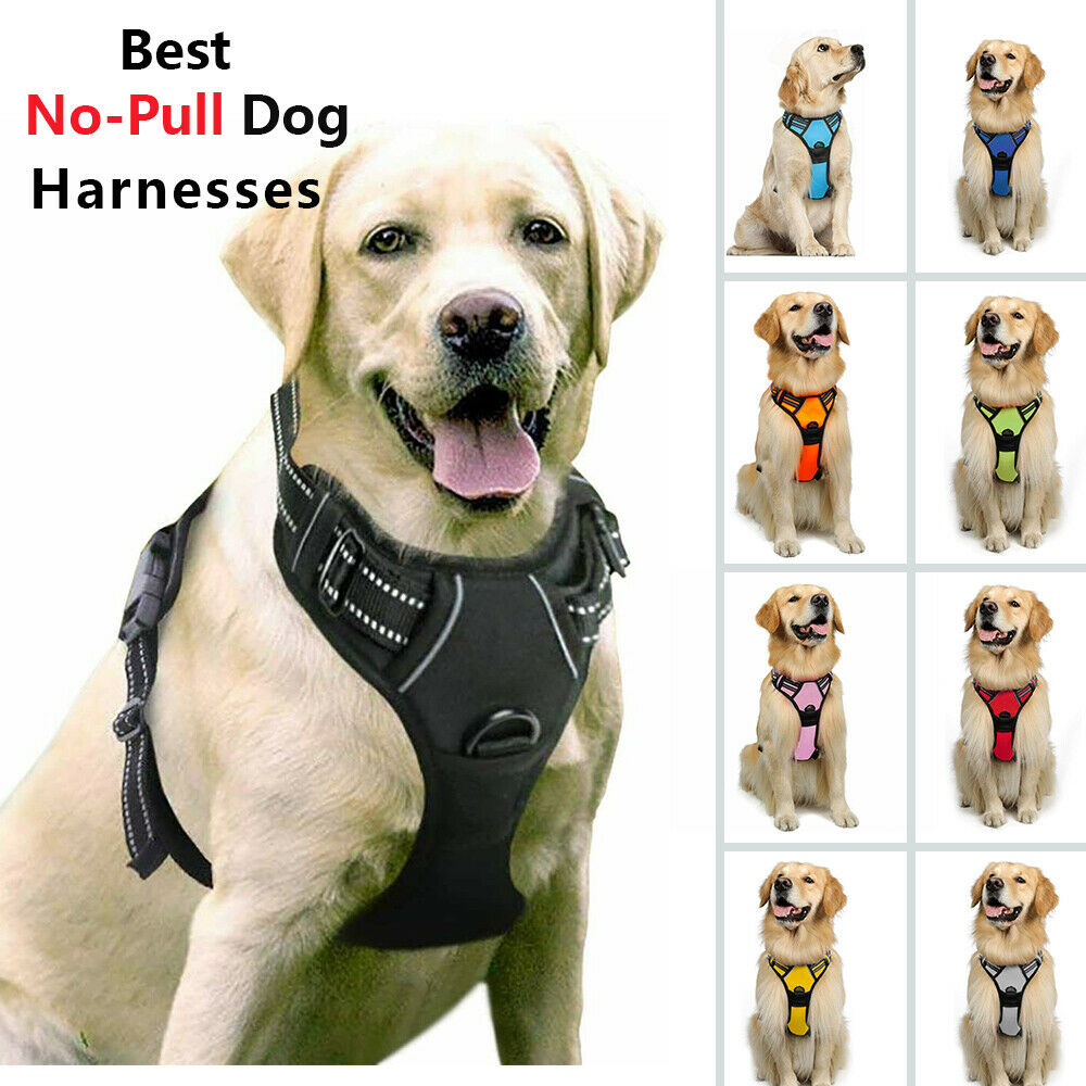 Rabbitgoo No-pull Xl Dog Pet Harness Control Adjustable Reflective Collar Large